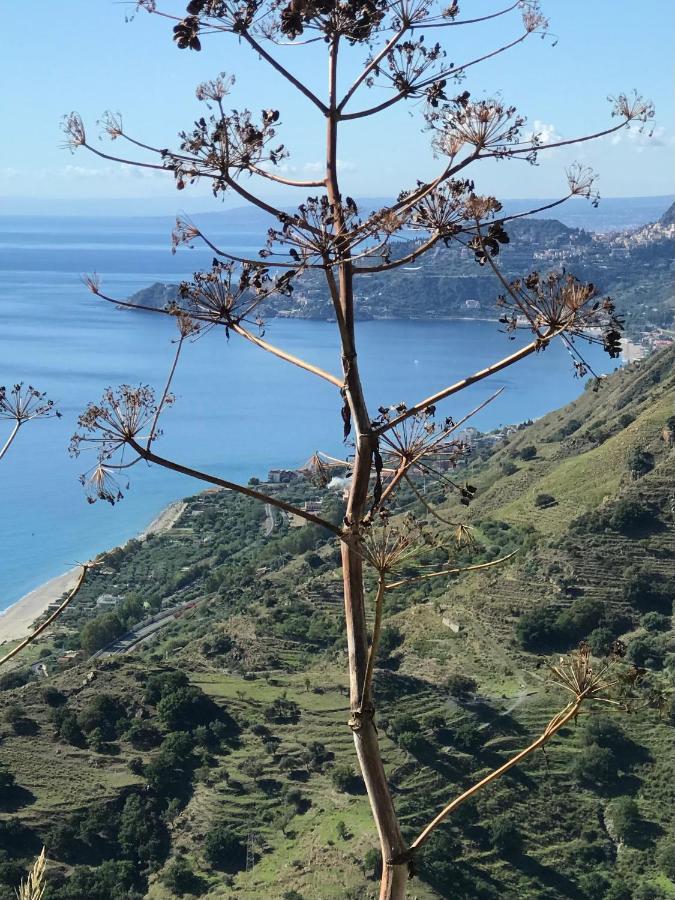 The Secret Garden Βίλα Forza dʼAgro Εξωτερικό φωτογραφία