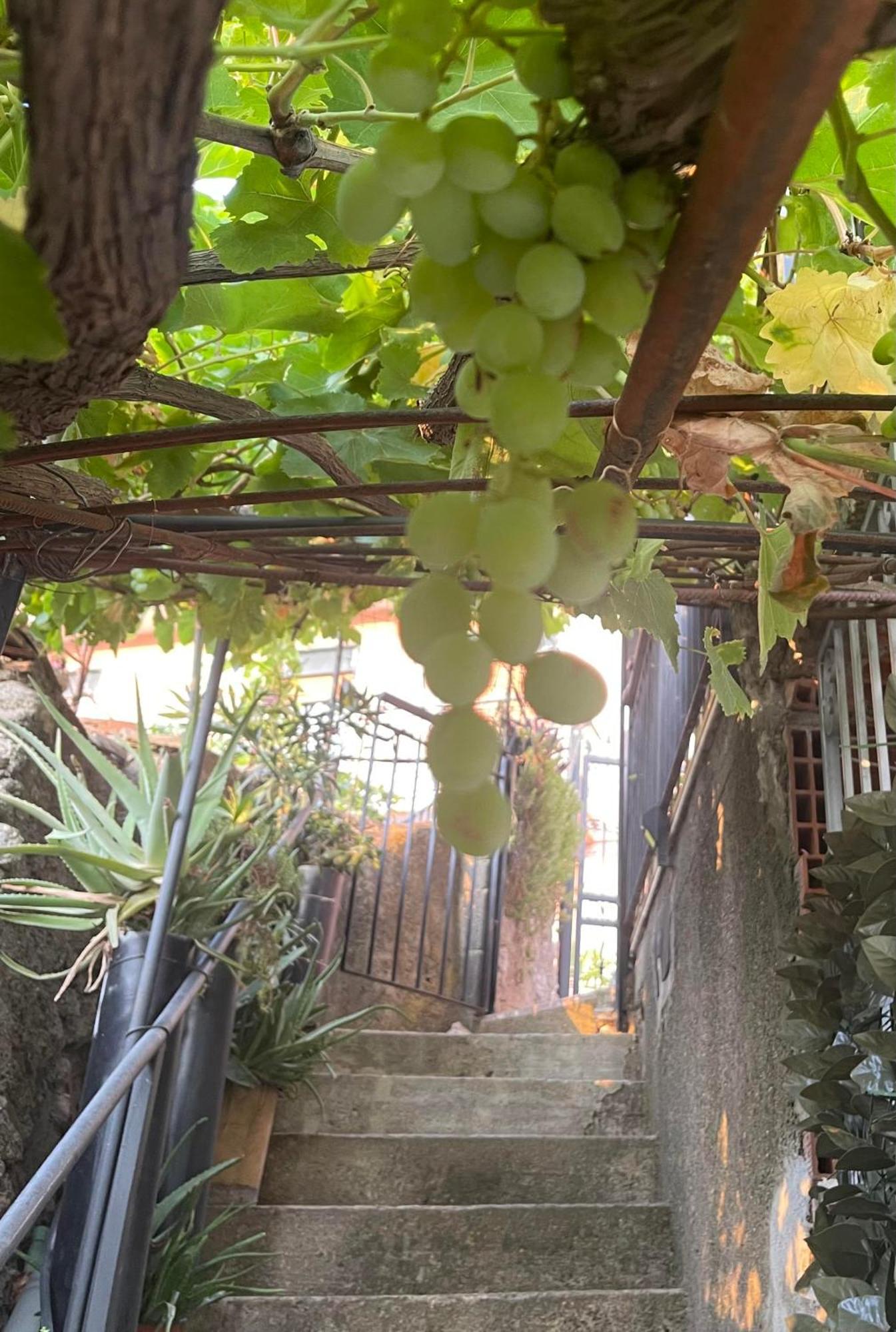The Secret Garden Βίλα Forza dʼAgro Εξωτερικό φωτογραφία