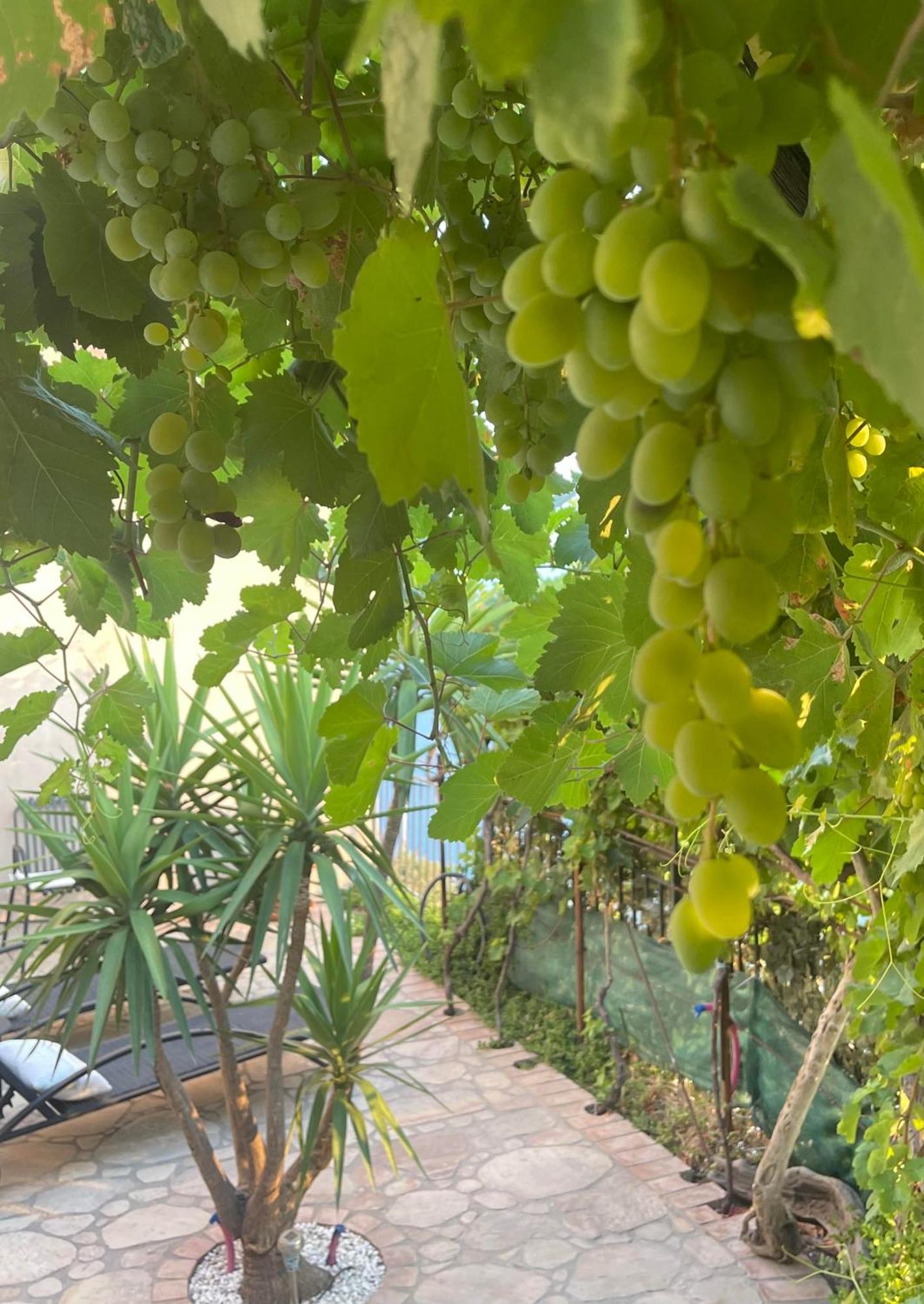 The Secret Garden Βίλα Forza dʼAgro Εξωτερικό φωτογραφία